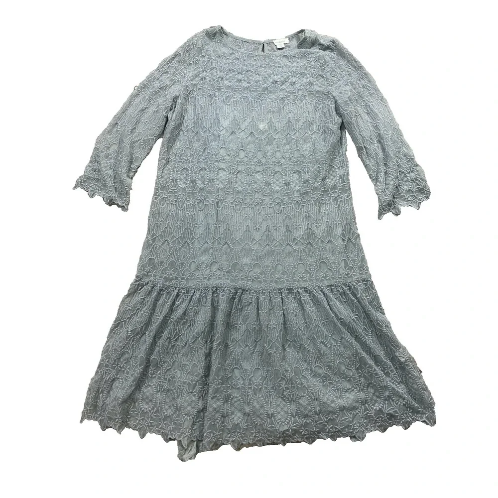 Sundance Windflower Whisper Overlay Embroidered Lace Silver Sage Dress‎ M